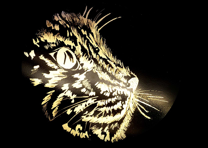 Feral Power