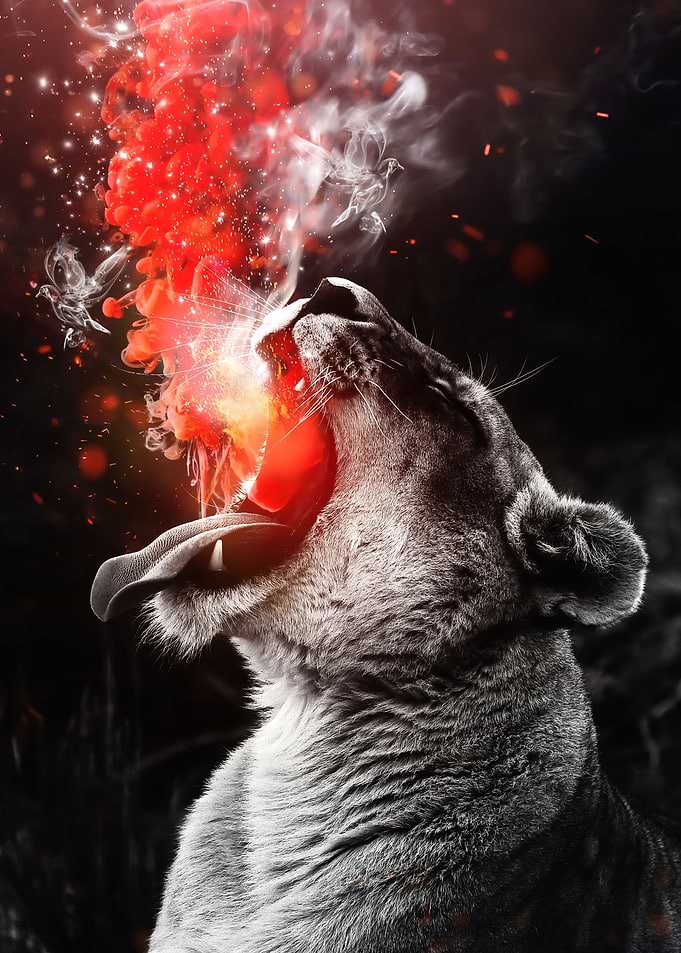 Rebirth