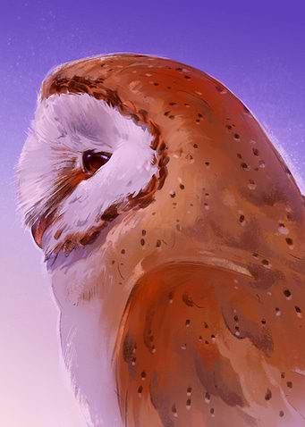 New Years Owl