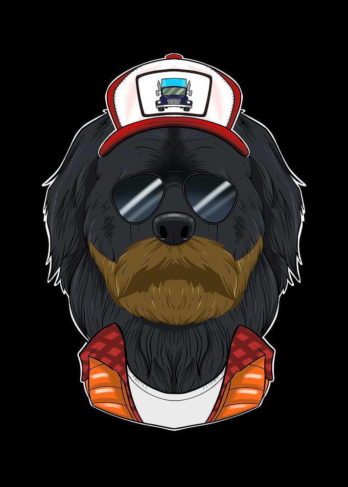 Truck Driver Newfoundland