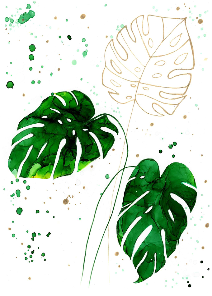 The Splash of Summer