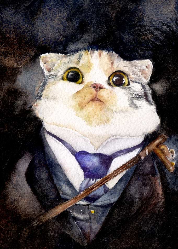 Theodore the Scottish Fold