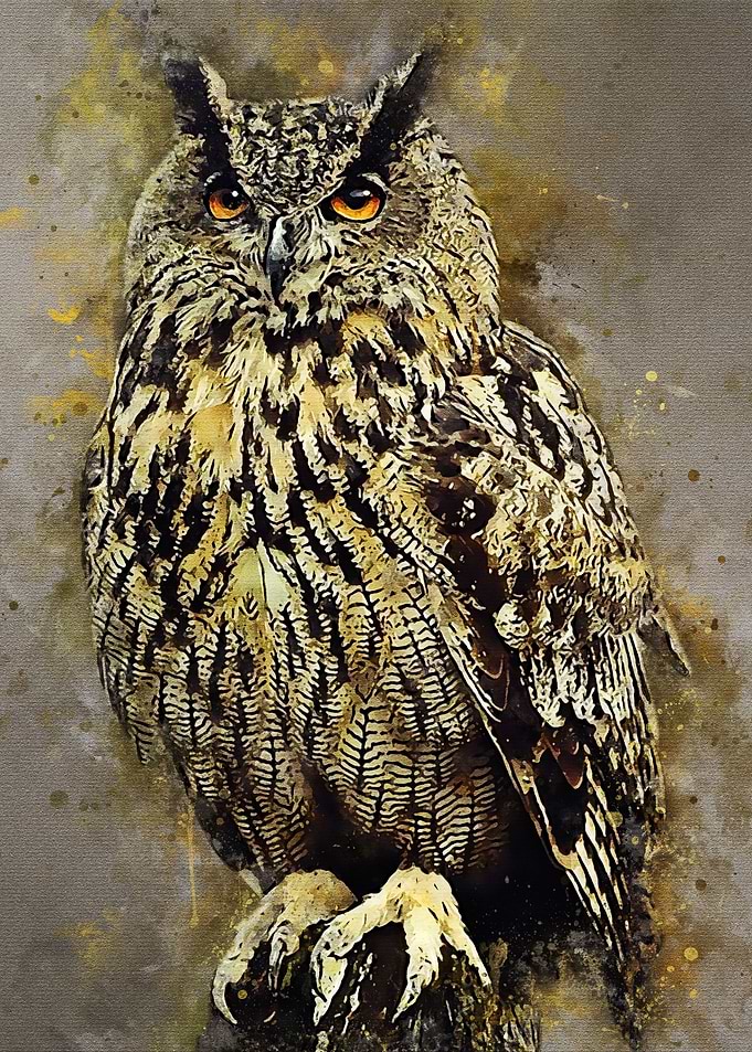 owl watercolor
