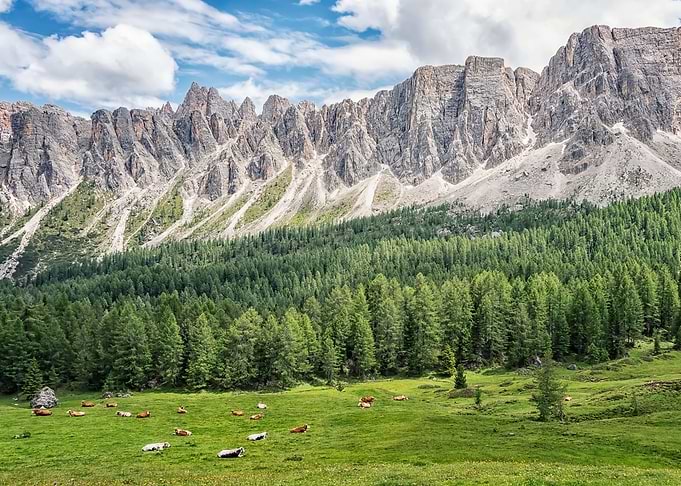 Alps Landscape