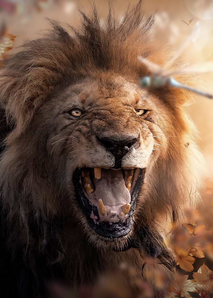 Rawr