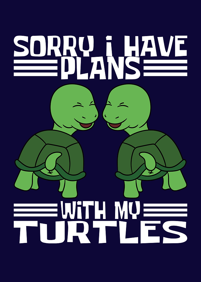 Plans With My Turtles