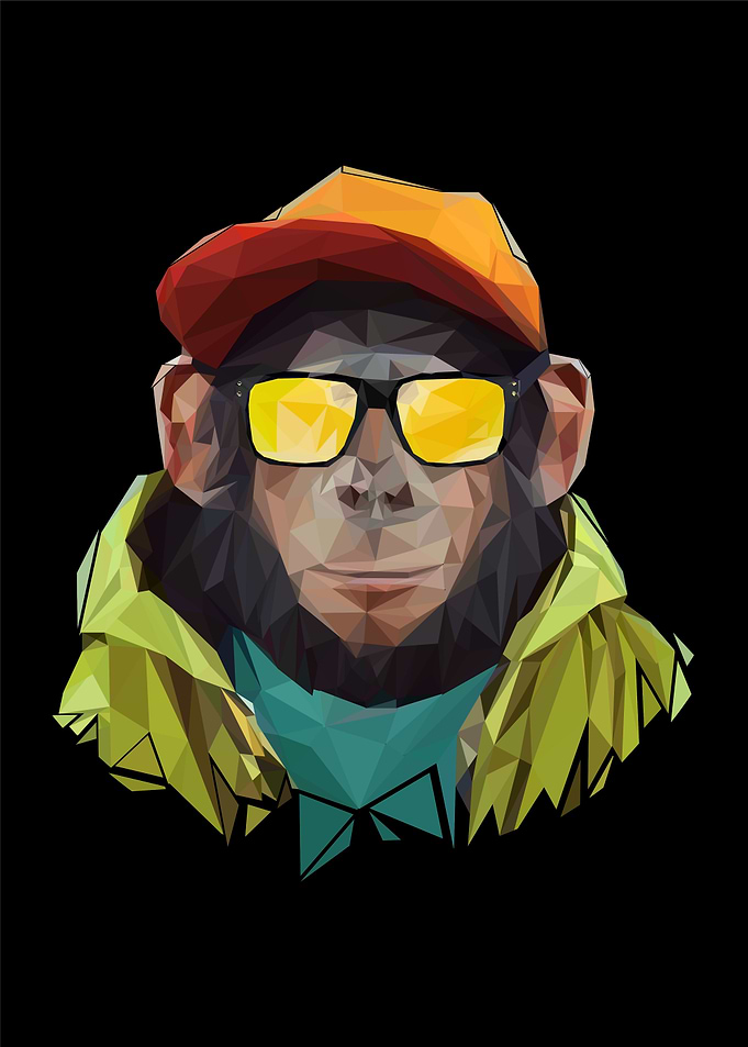 Monkey Fungky