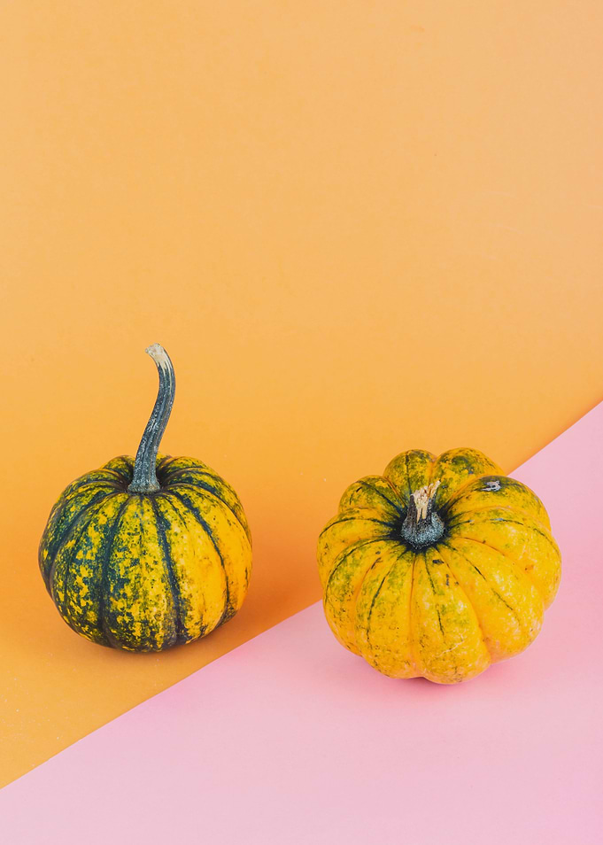Pumpkin Presentation