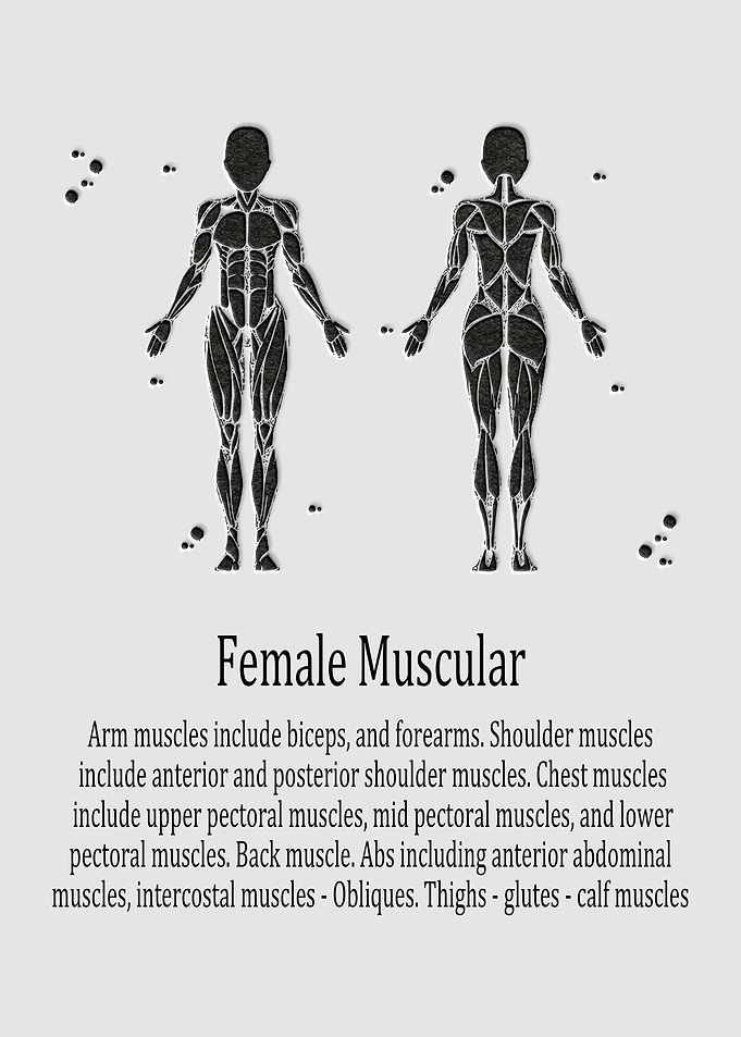 Female Muscular