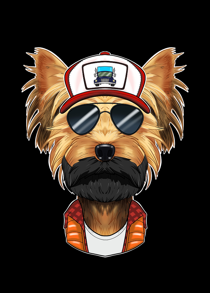Trucker Yorkshire Terrier