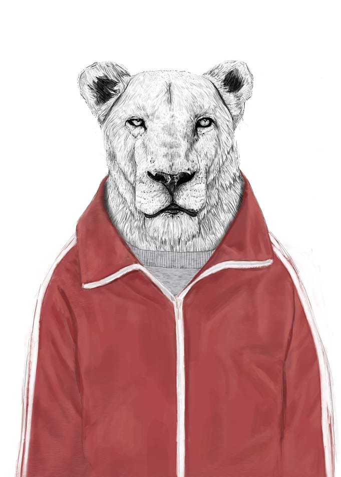 Sporty lion
