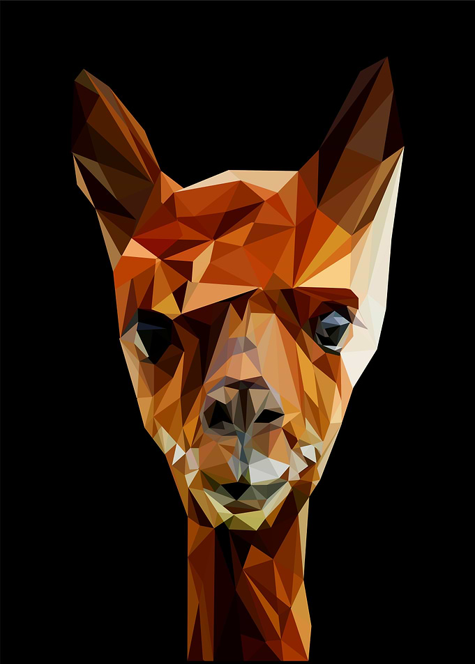 alpaca