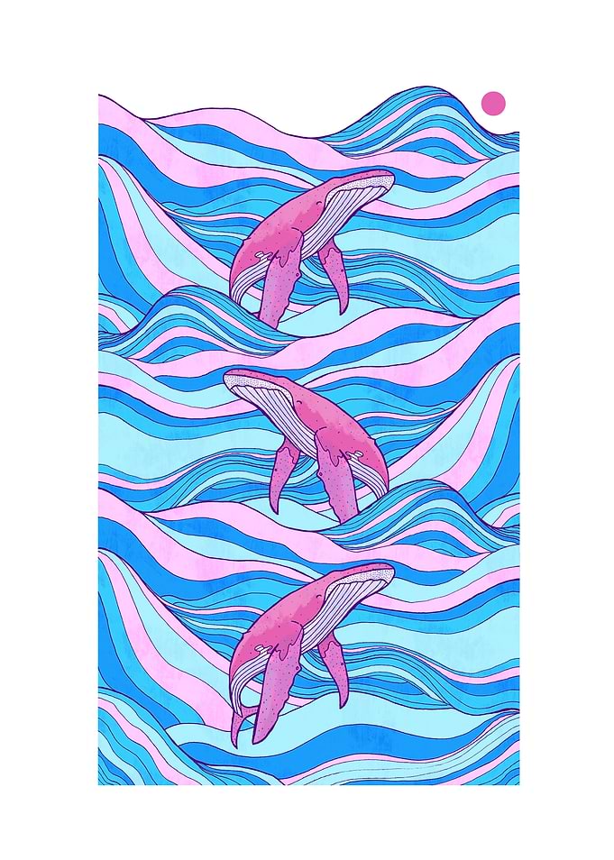 The three whales