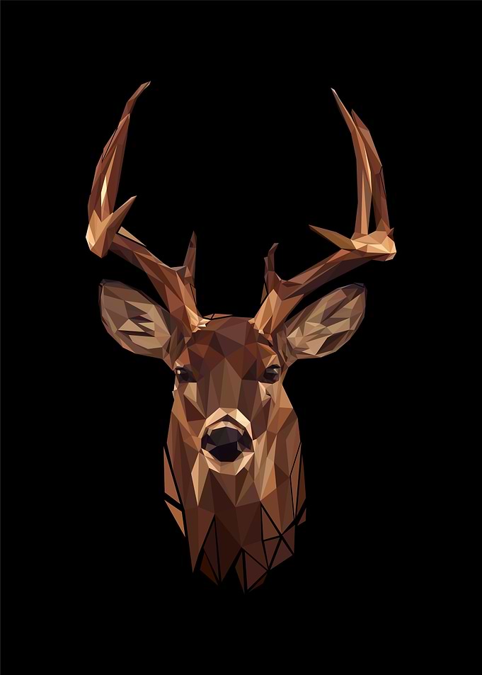 Buck