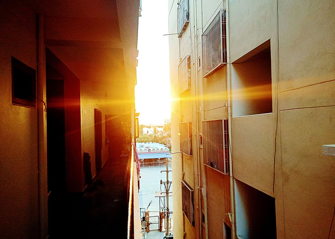 The Sun