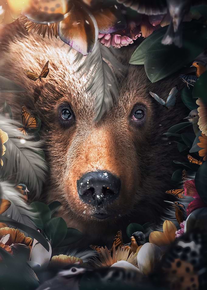 Floral Bear