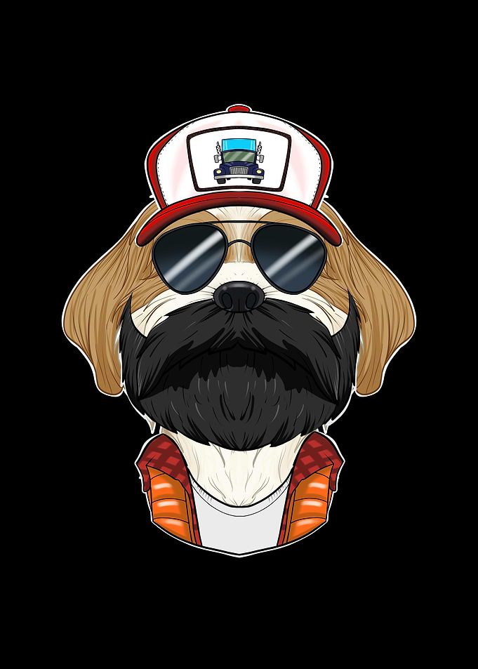 Truck Driver Shih Tzu