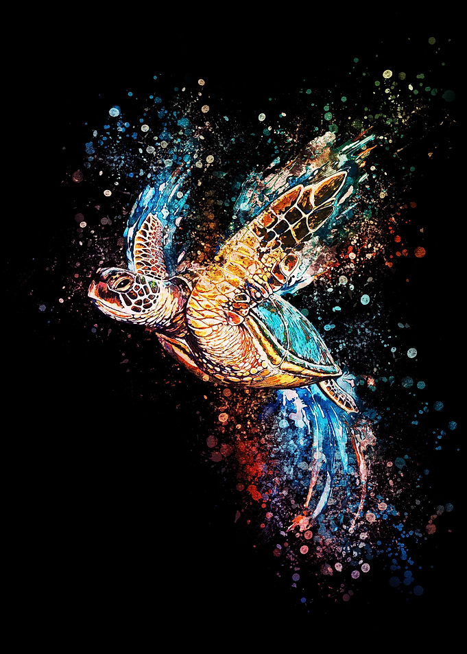Turtle
