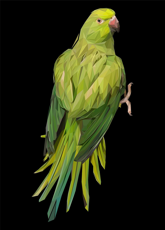 Parrots