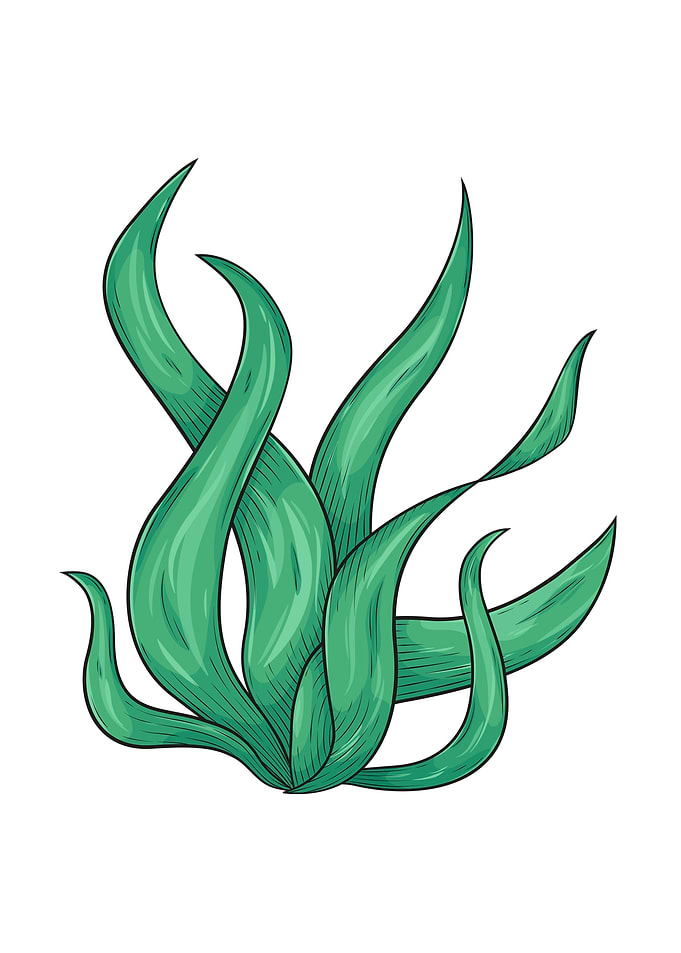 Wavy green plant