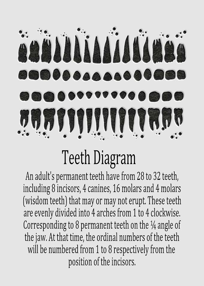 Teeth Diagram