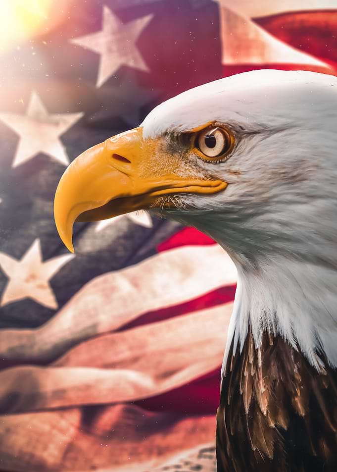 American Eagle