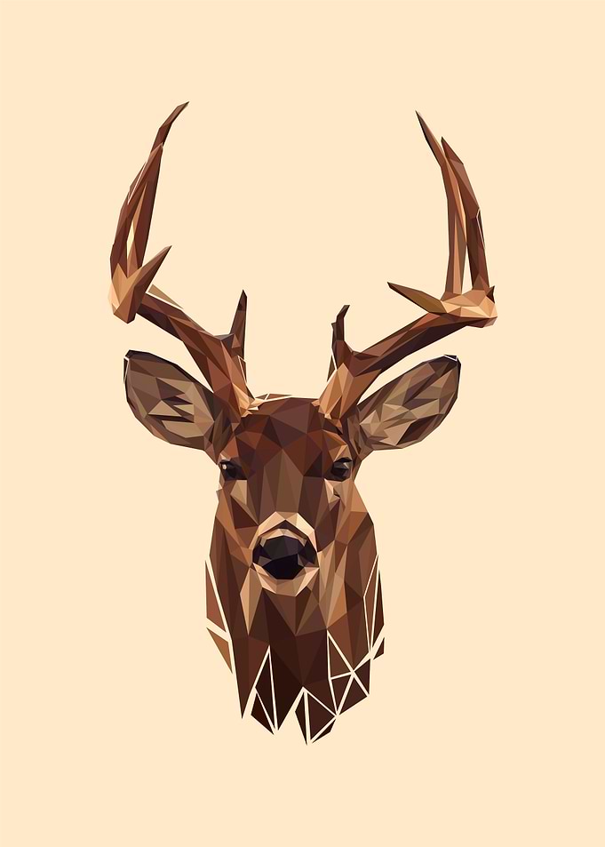 Buck pop art