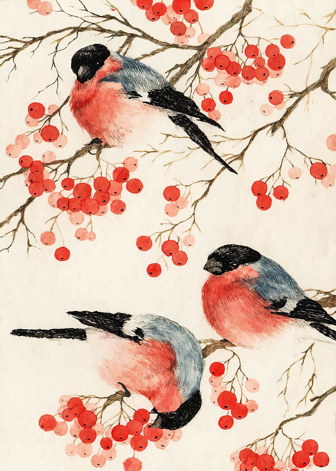 Pomegranate bird perched