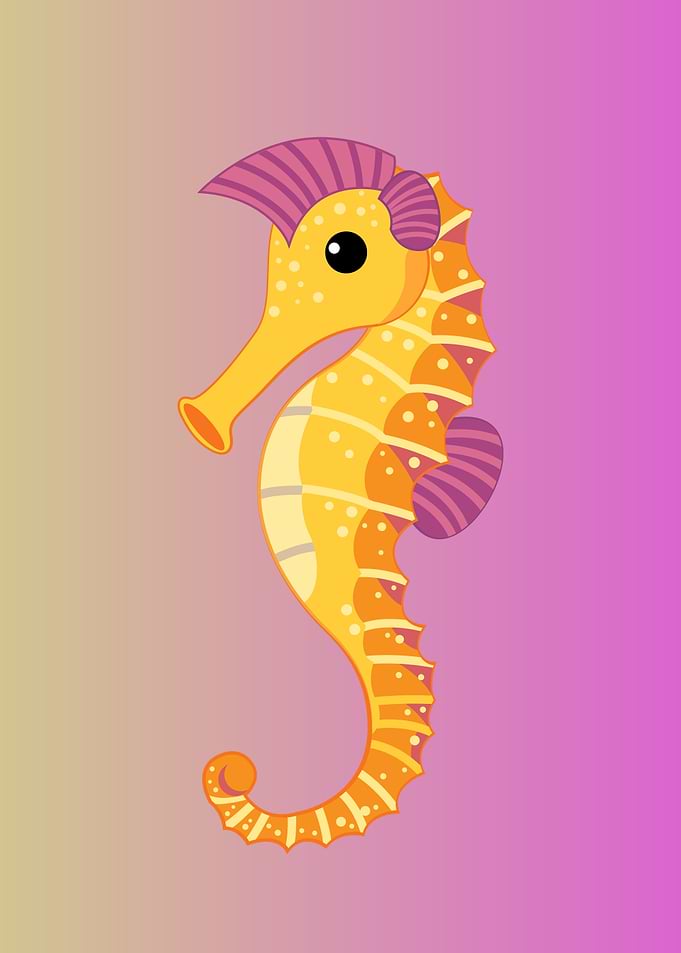 Hippocampus cute