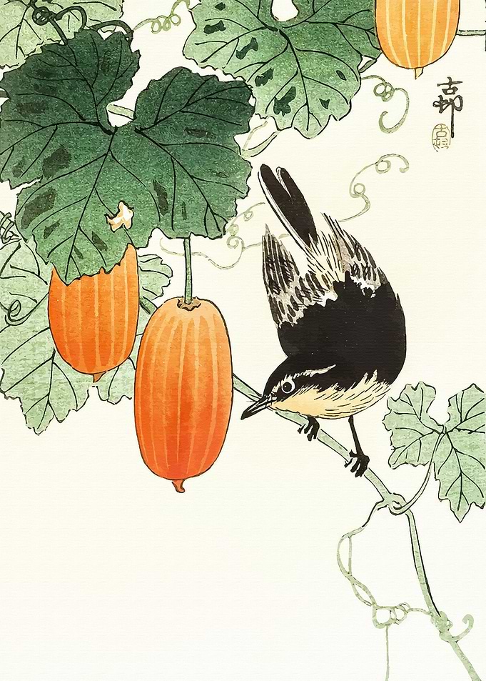 The Asian Bird