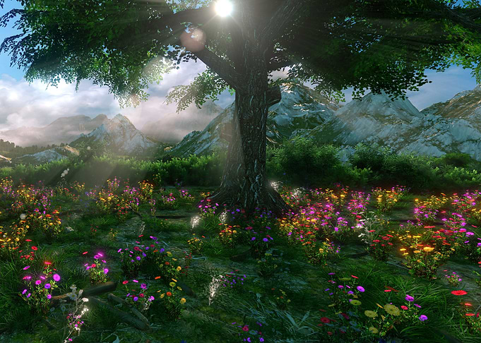 The Dreamers Valley