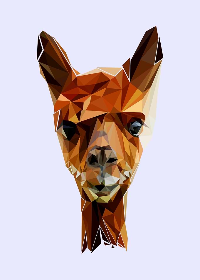 alpaca pop art