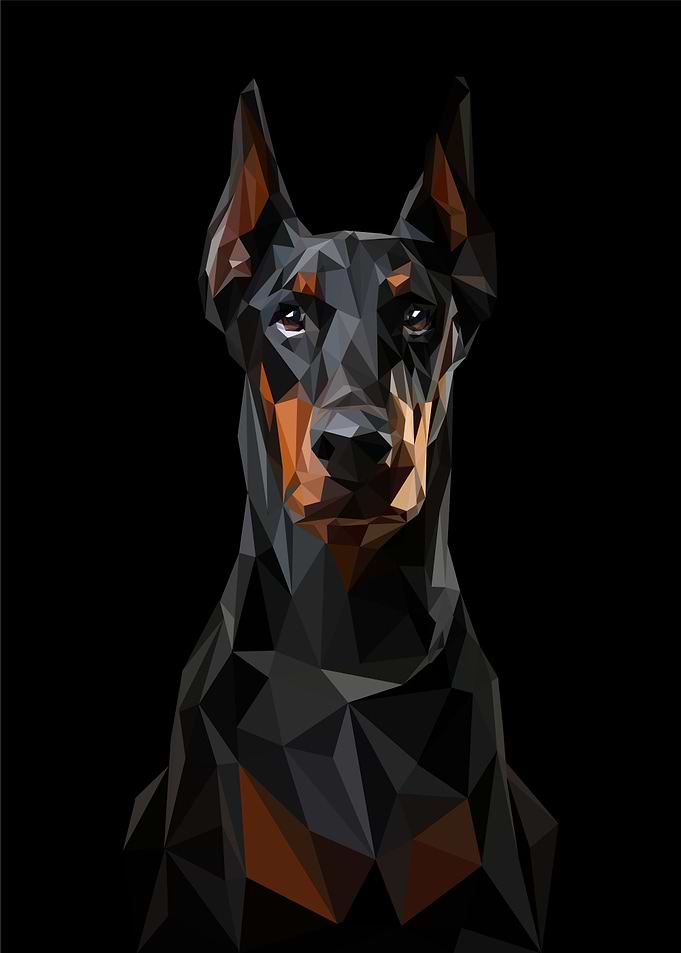 Doberman dogs