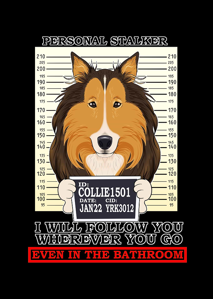 Collie Personal Stalker