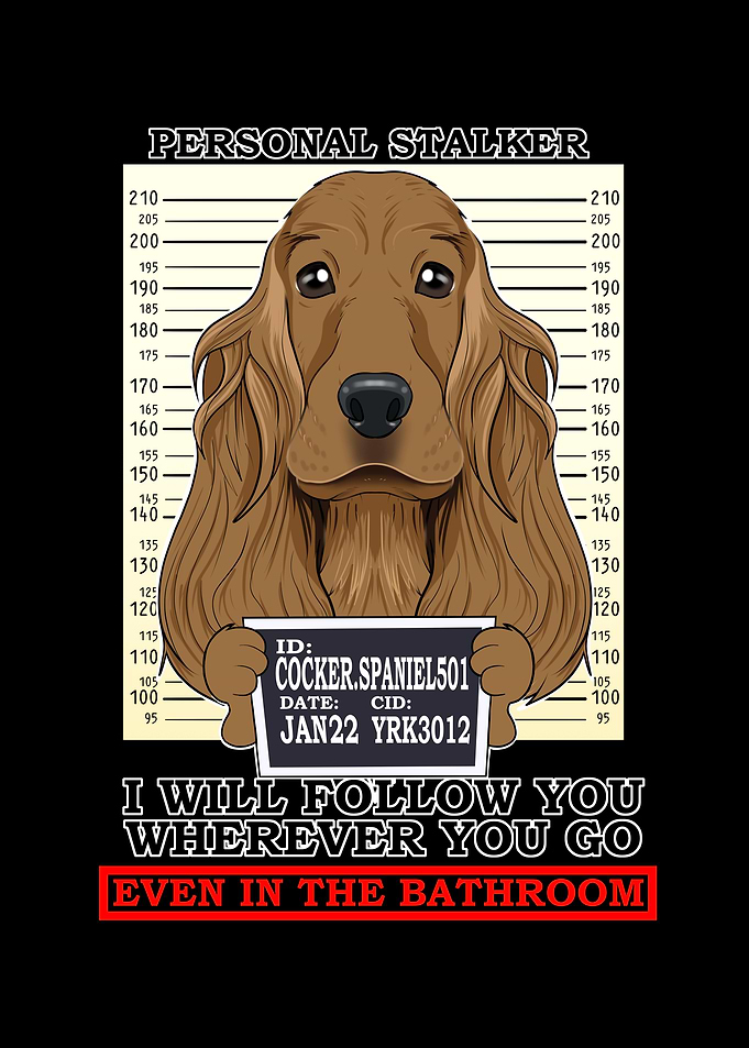 Cocker Spaniel Stalker