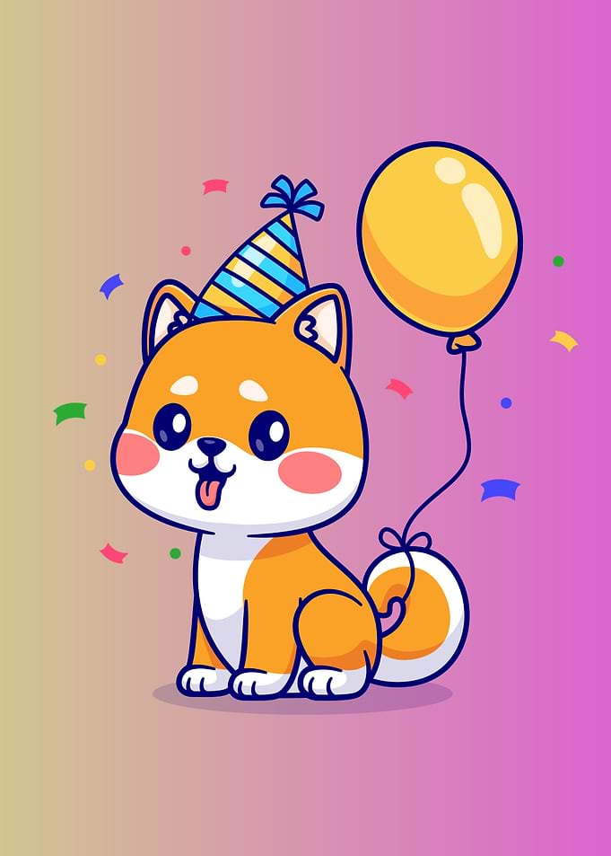 Shiba cute