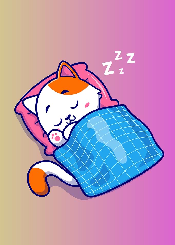 Cat cute