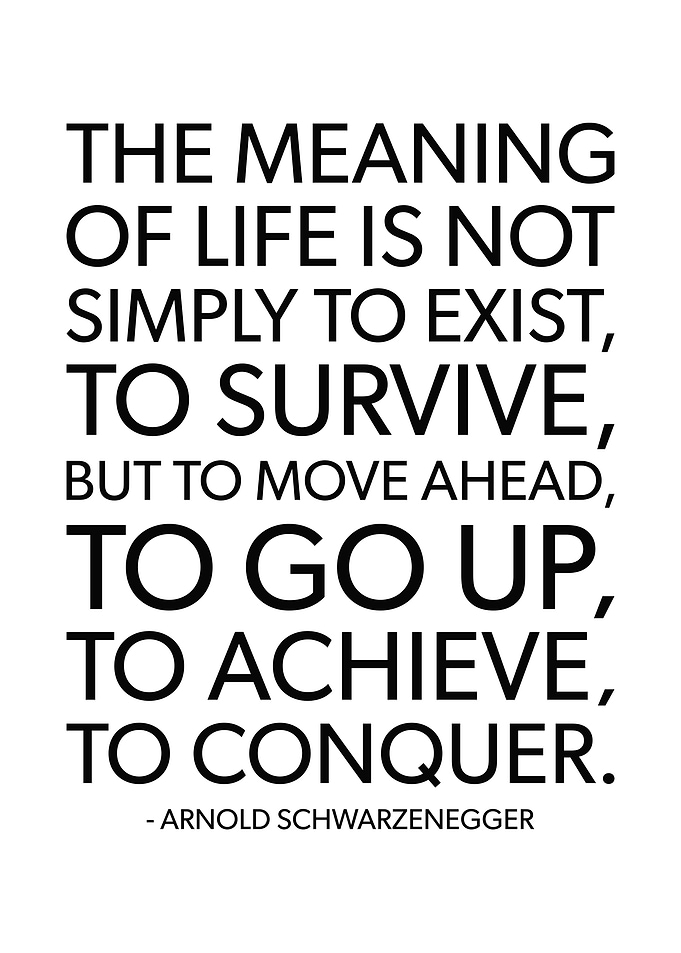 Meaning Of Life To Conquer