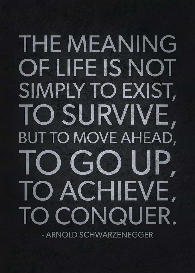 Meaning Of Life To Conquer