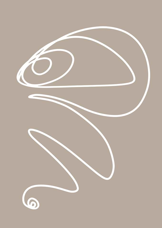 Aesthetic hand drawn line
