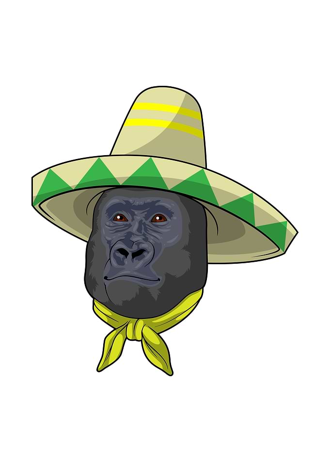 Monkey Straw hat