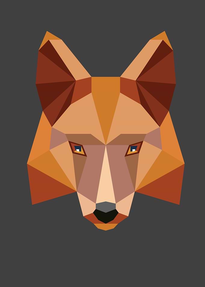 Fox animal