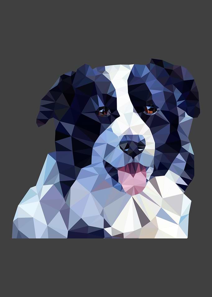 Dog animal