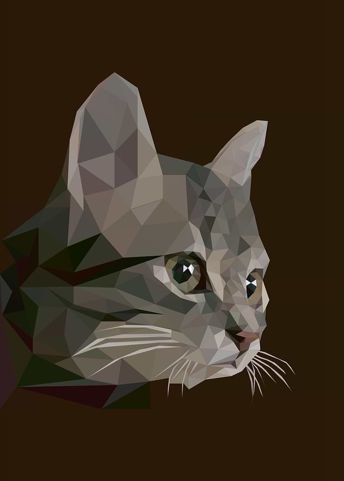 Cat animal