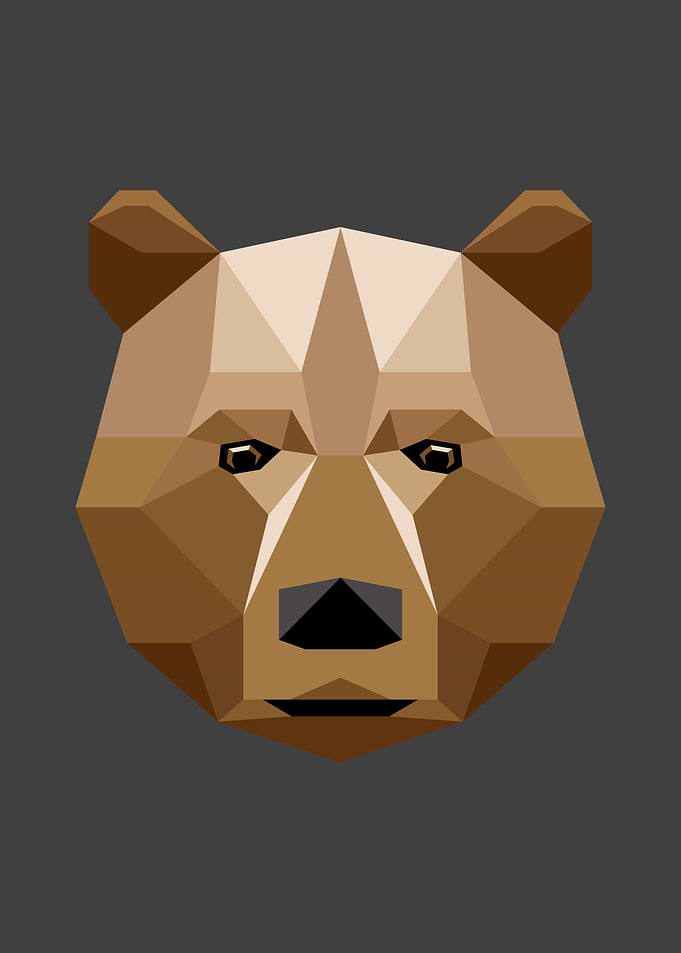 Bear animal