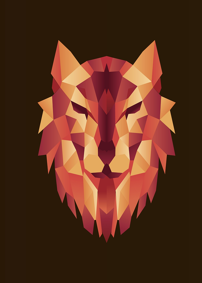 Wolf animal