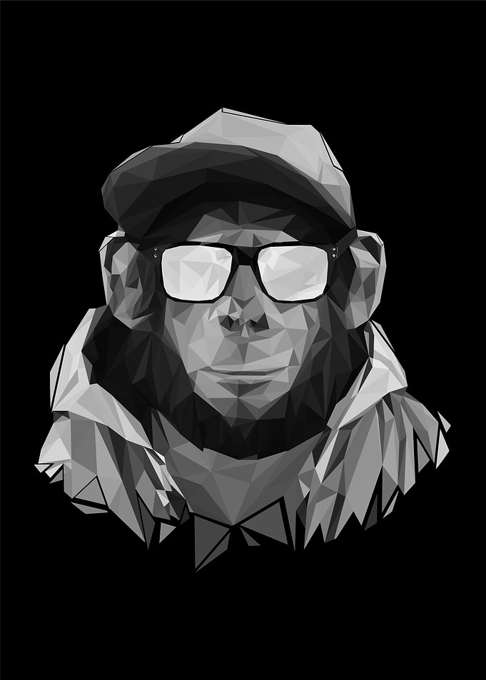 cool monkey pop art