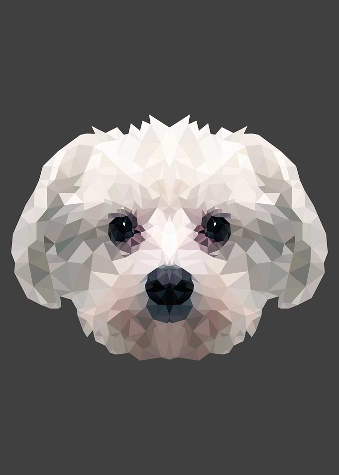 Dog animal