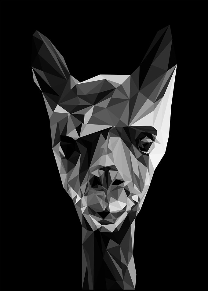 alpaca pop art