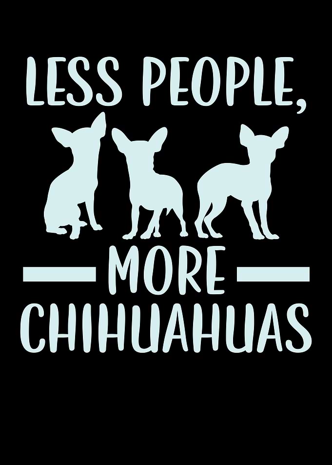 More Chihuahuas